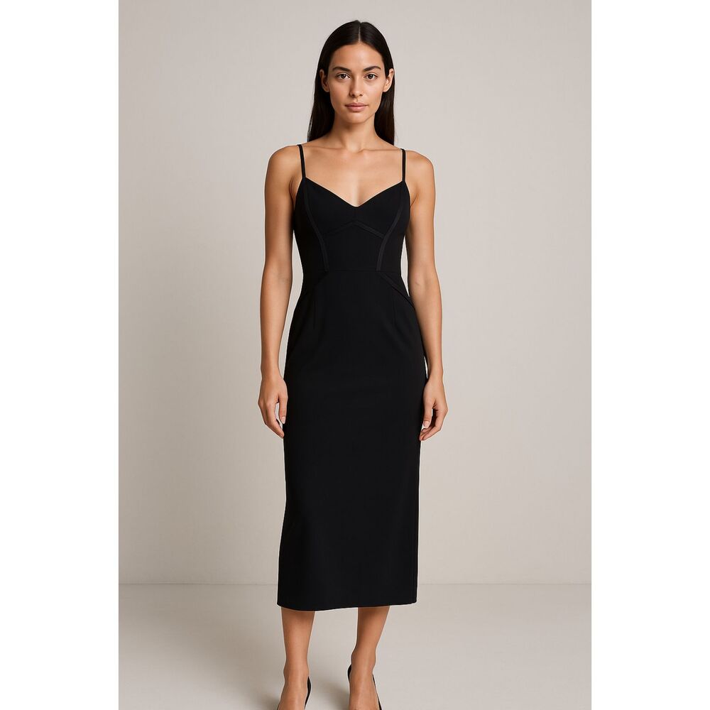 GREY JASON WU Corset Style Midi Dress NWOT Sz 4